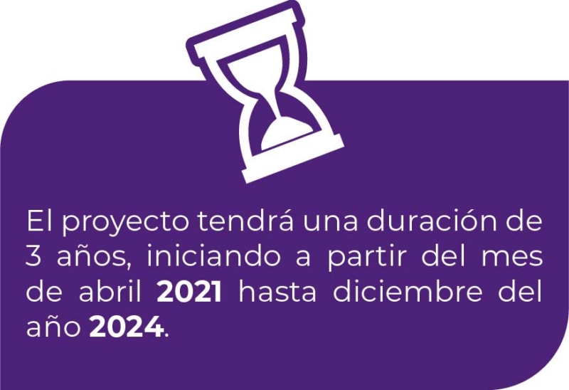 InsumosWebPROCREATIVA-01