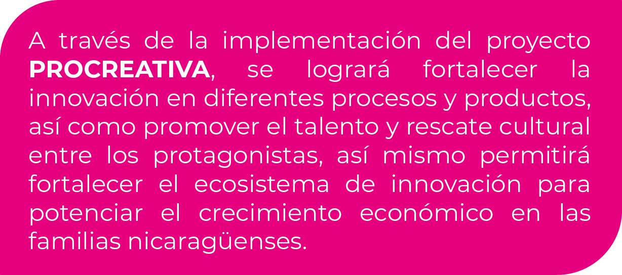 InsumosWebPROCREATIVA-03