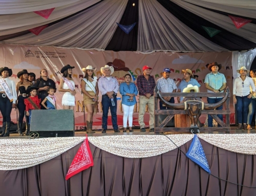 Exitoso Festival Vaquero en Nueva Guinea.