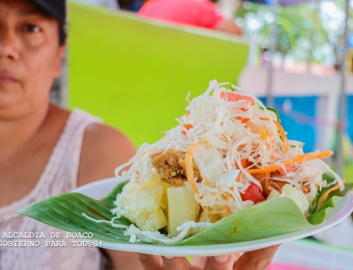 Realizamos festivales de comidas típicas con cerdo en diversos departamentos