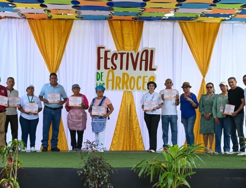 FESTIVALES DE LOS ARROCES